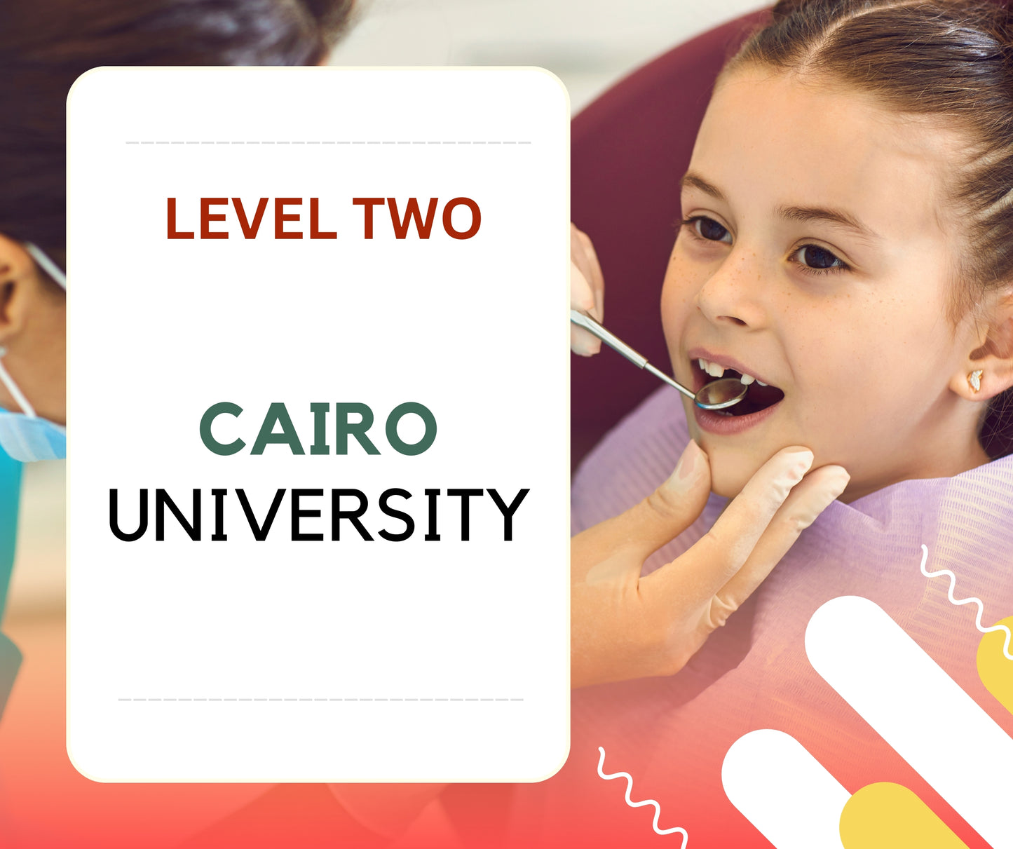 Cairo University Dental Box Level Two