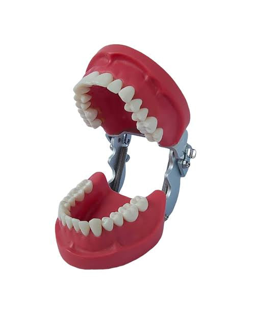 GALALA University Dental Box Level three Prothesis