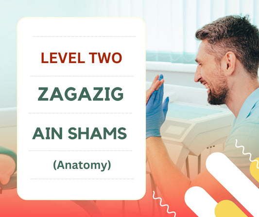 Box Level Two Ain Shams & ZAGAZIG University