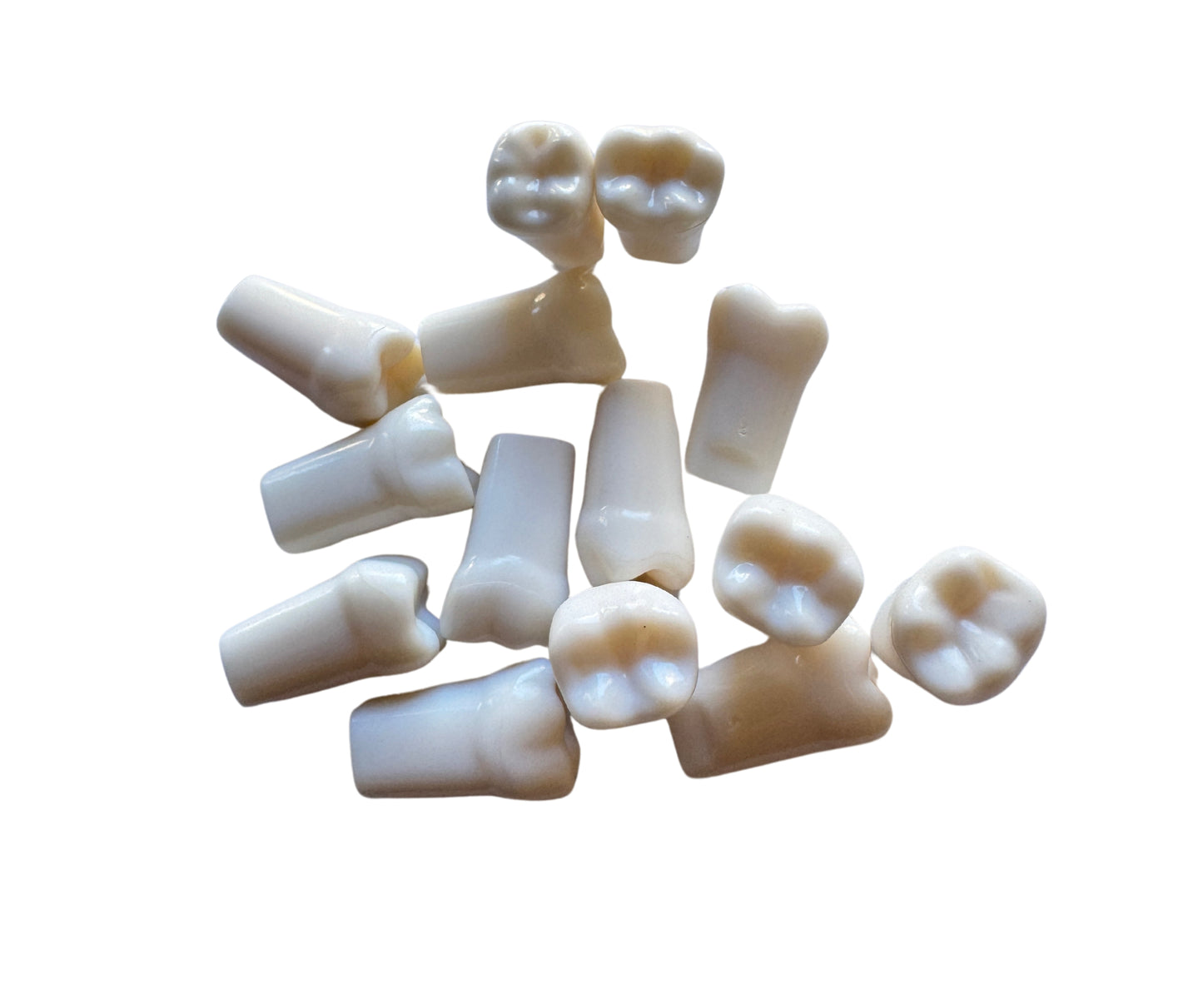 Acrylic Elbanna Nissin Teeth