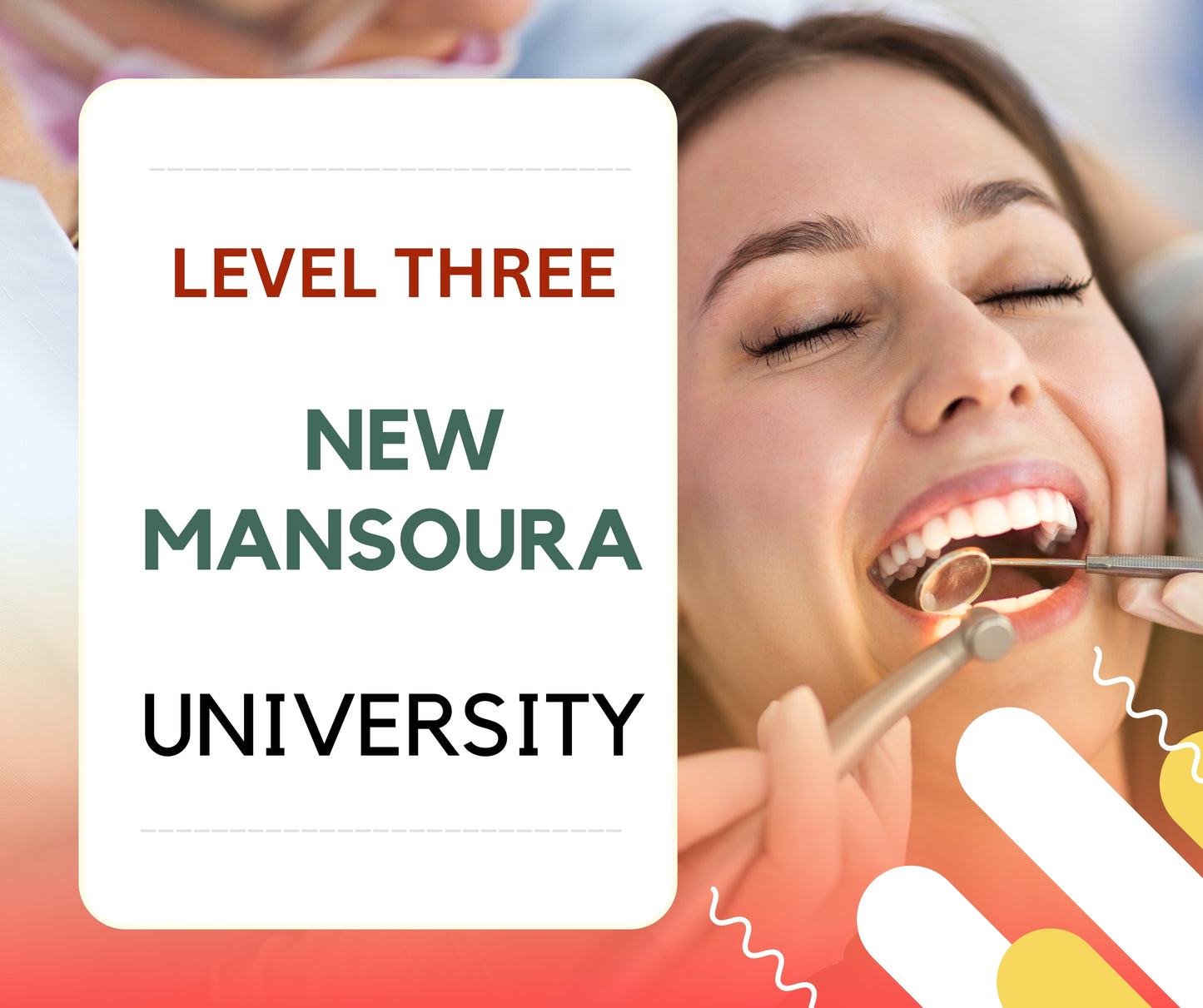 New Mansoura University Dental Box Level Three