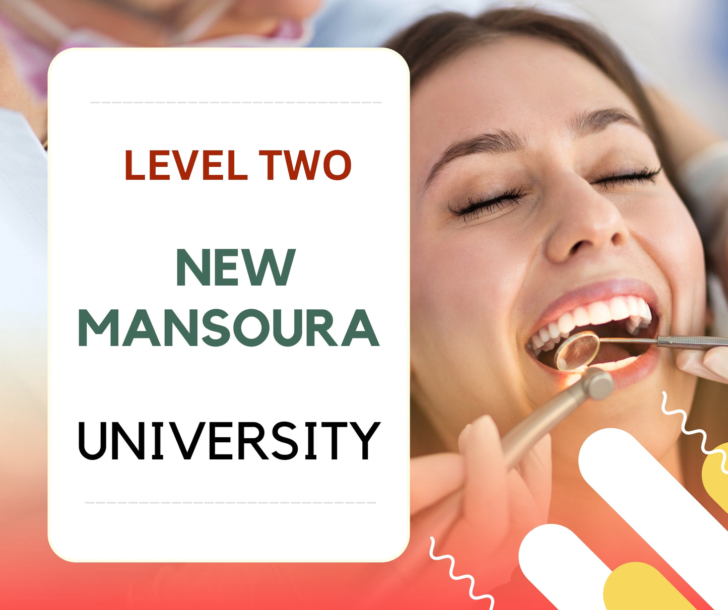 New Mansoura University Dental Box Level Two