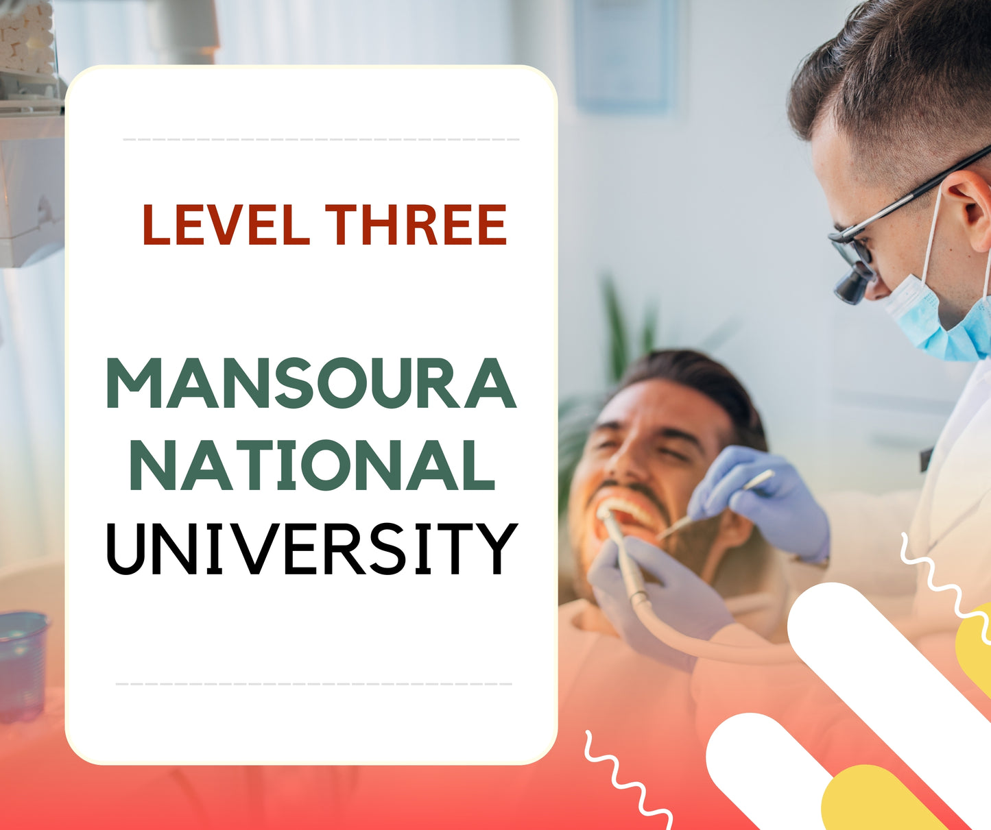 Mansoura National University Level Three