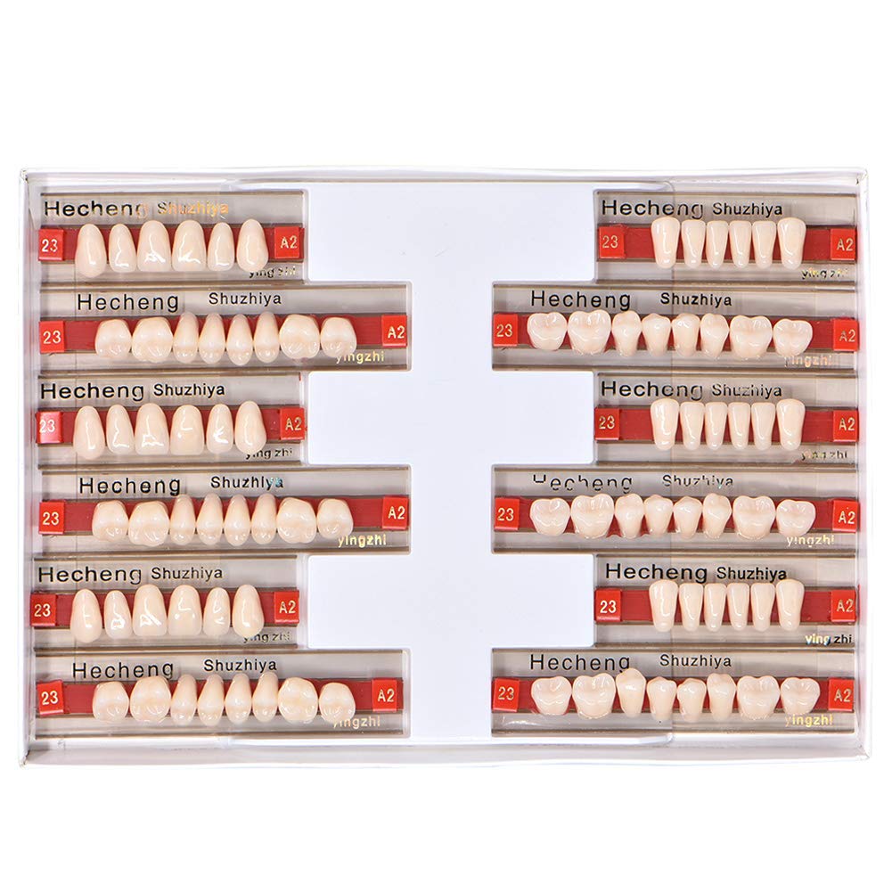 Banha National University Dental Level Two Box