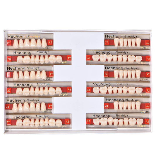 Teeth for denture acrylic